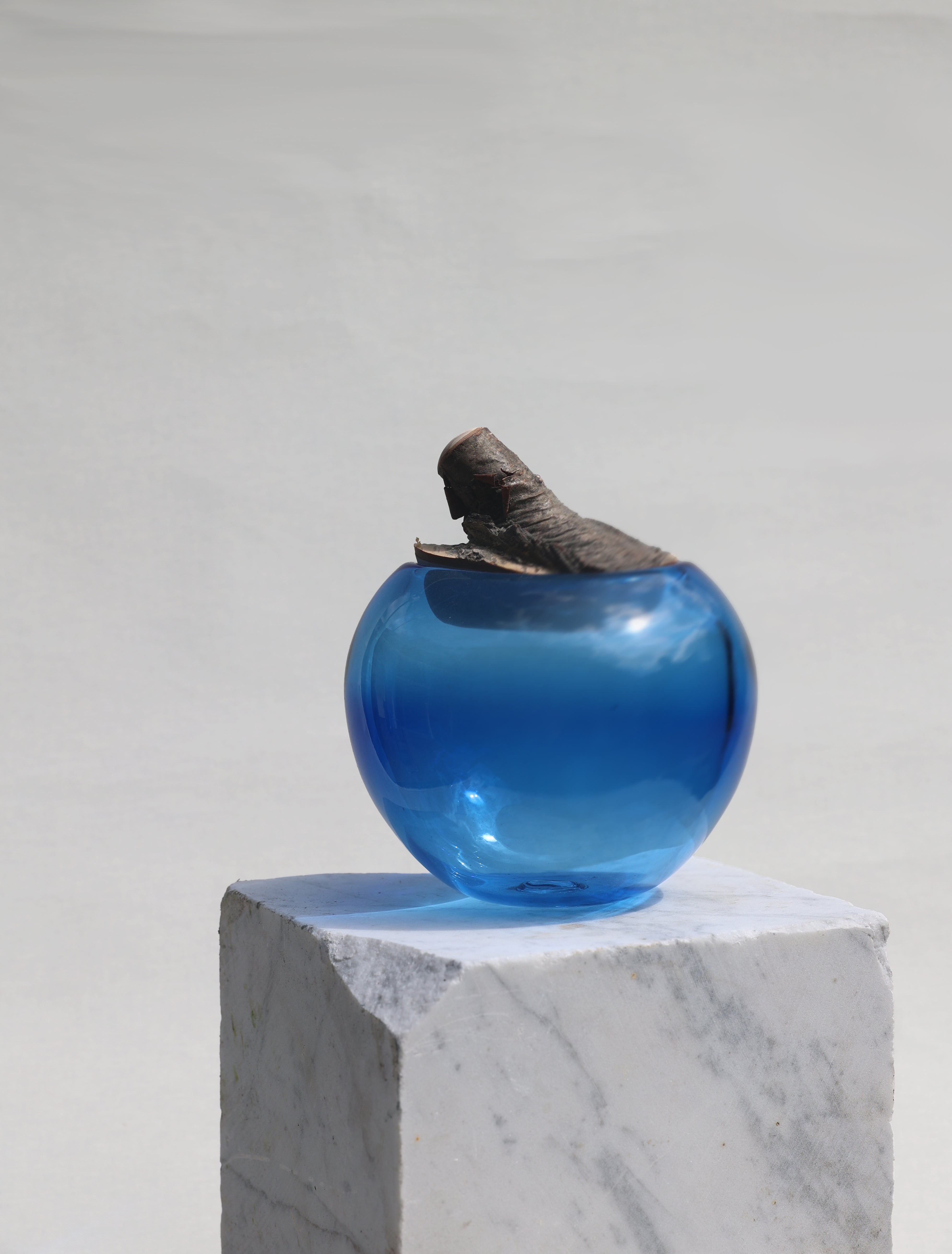 Branch Bowl | Sculptural Glass Bowl with Natural Wood Branch Lid