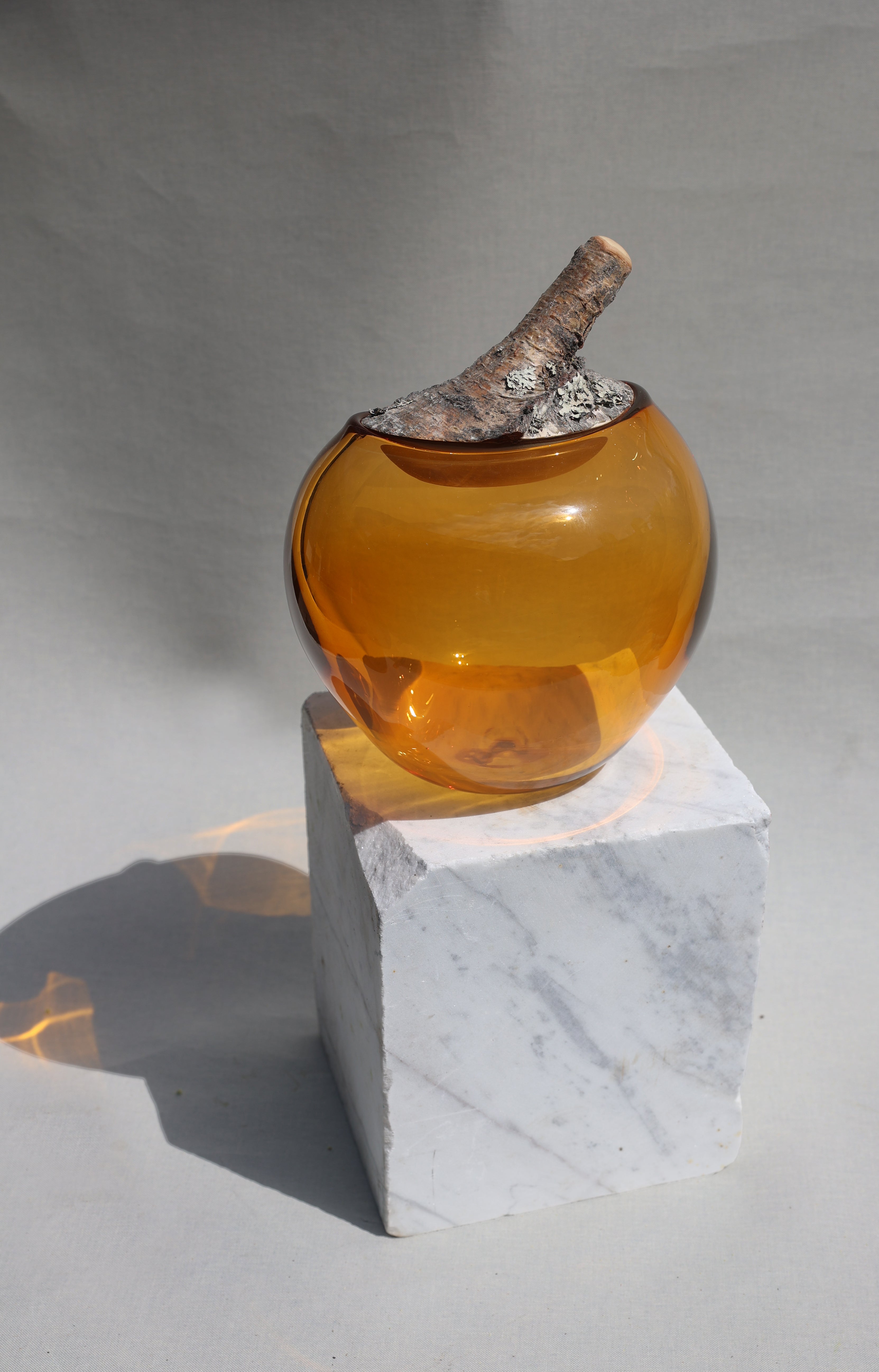 Branch Bowl | Sculptural Glass Bowl with Natural Wood Branch Lid