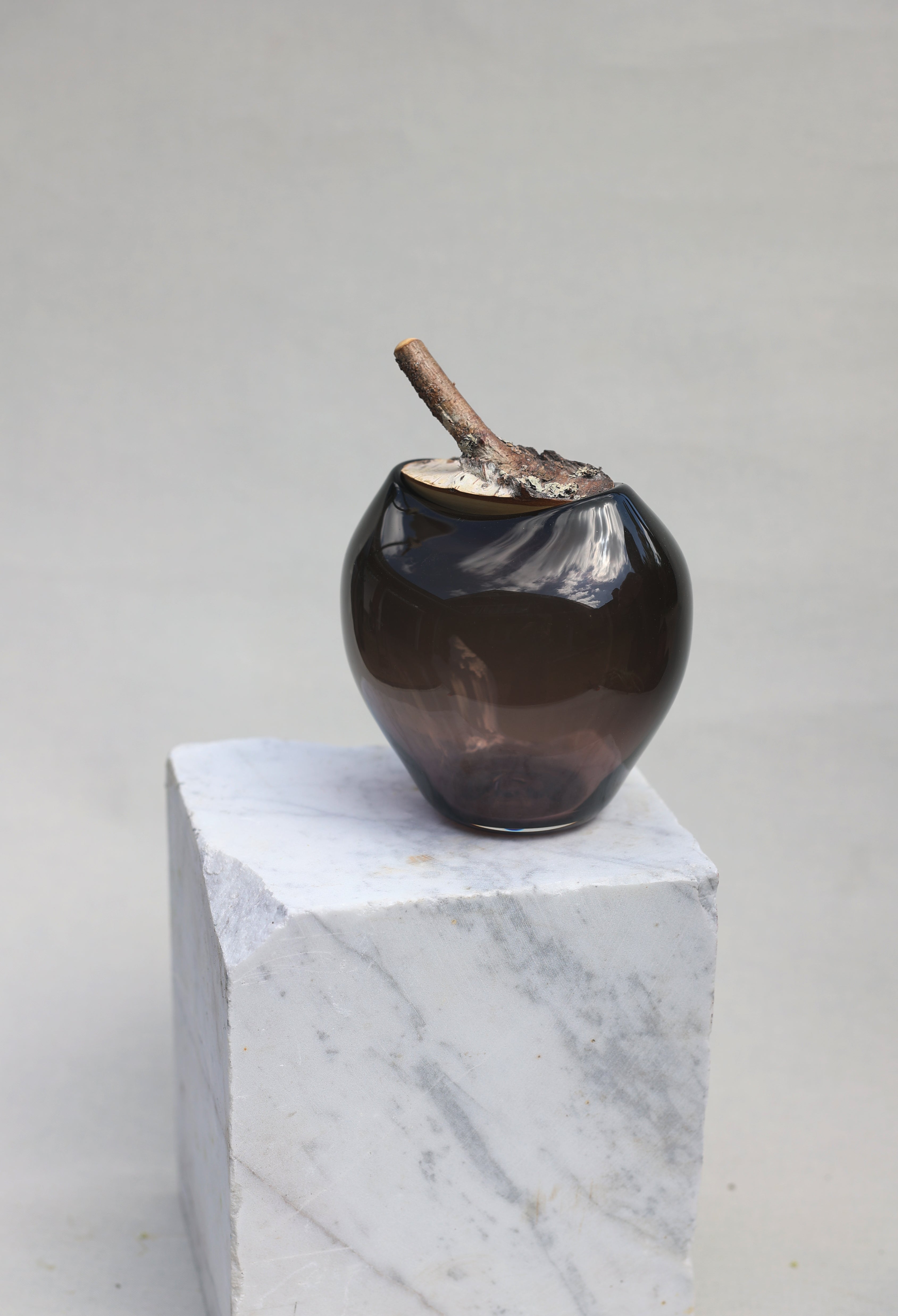 Branch Bowl | Sculptural Glass Bowl with Natural Wood Branch Lid