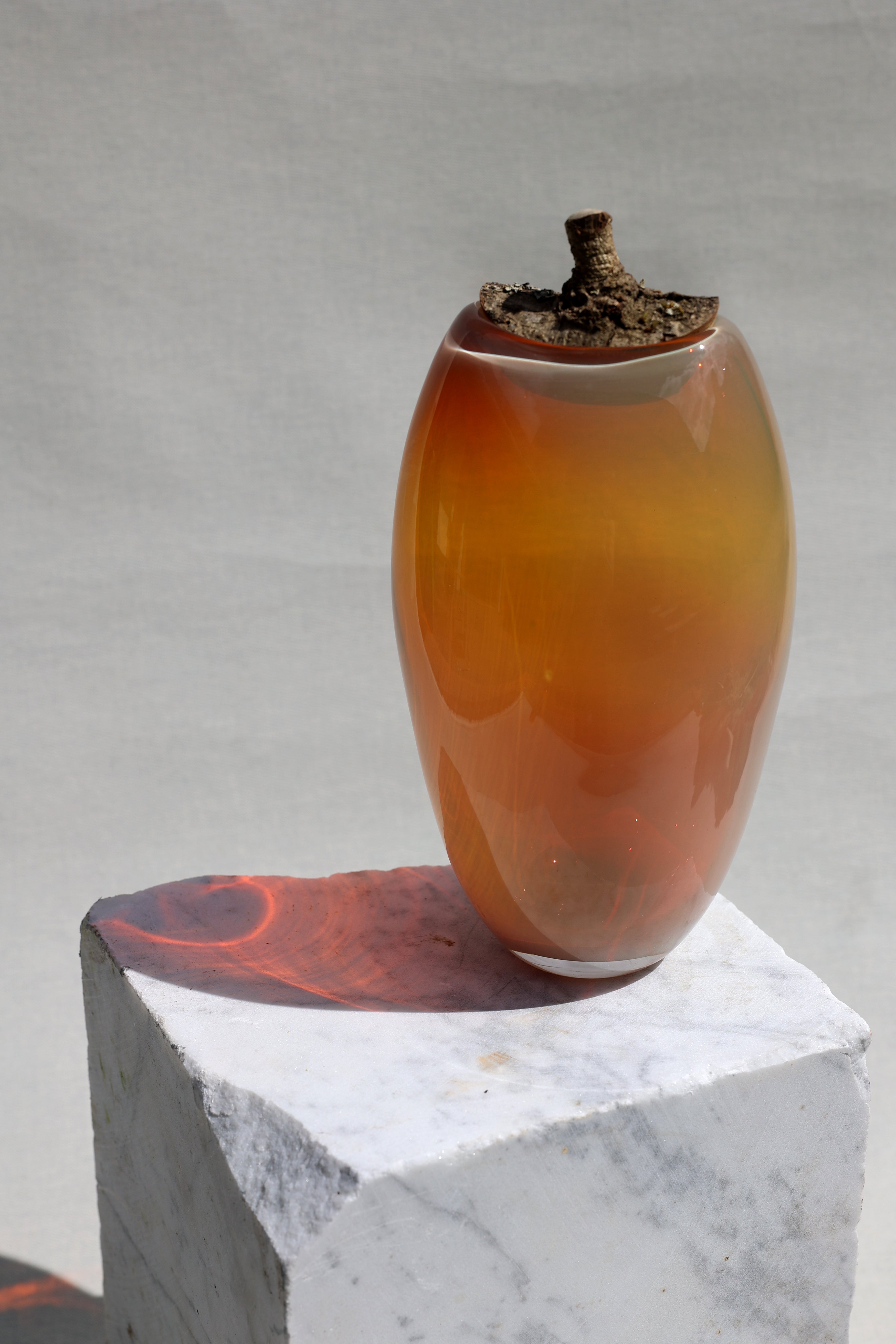 Branch Bowl | Sculptural Glass Bowl with Natural Wood Branch Lid