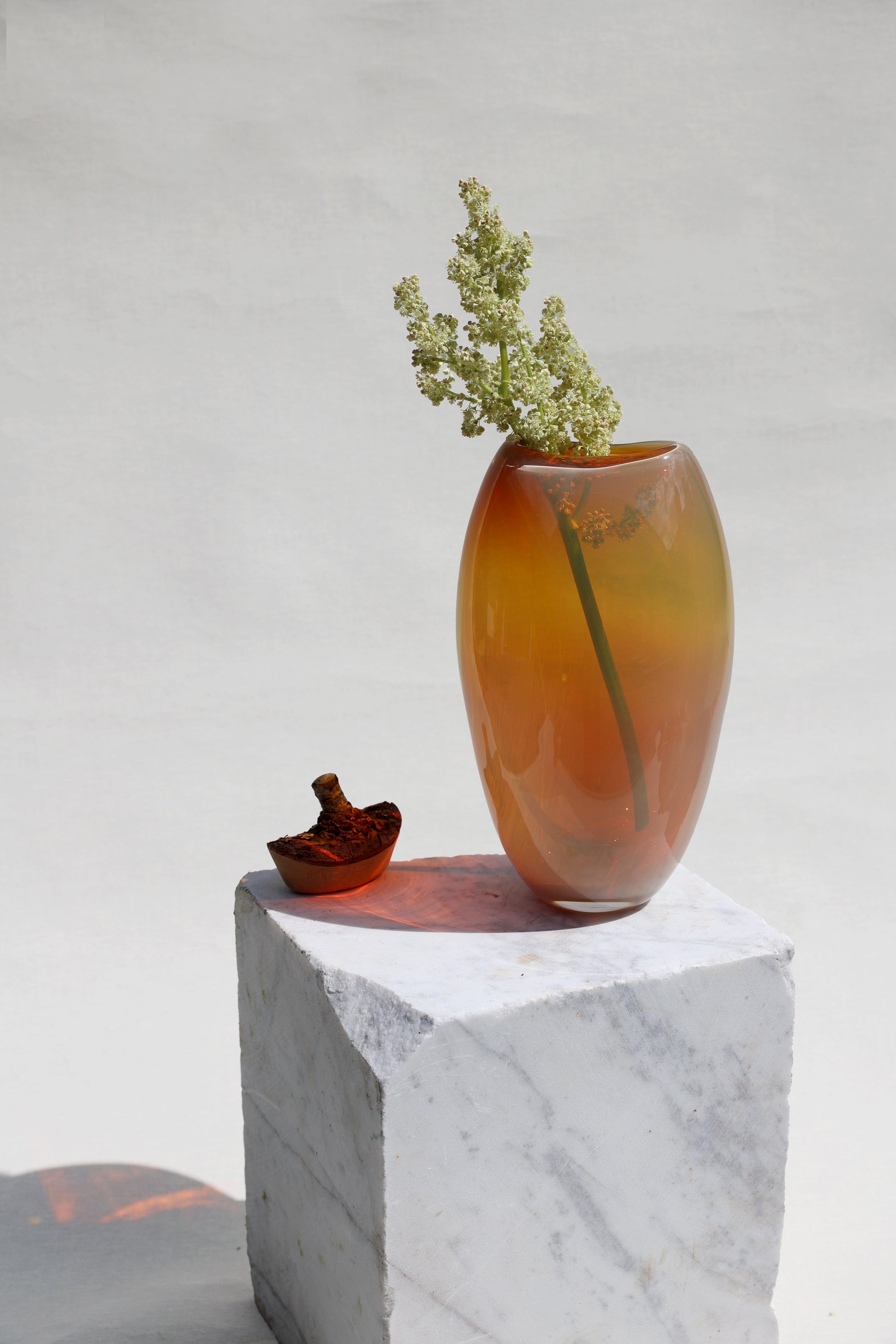 Branch Bowl | Sculptural Glass Bowl with Natural Wood Branch Lid