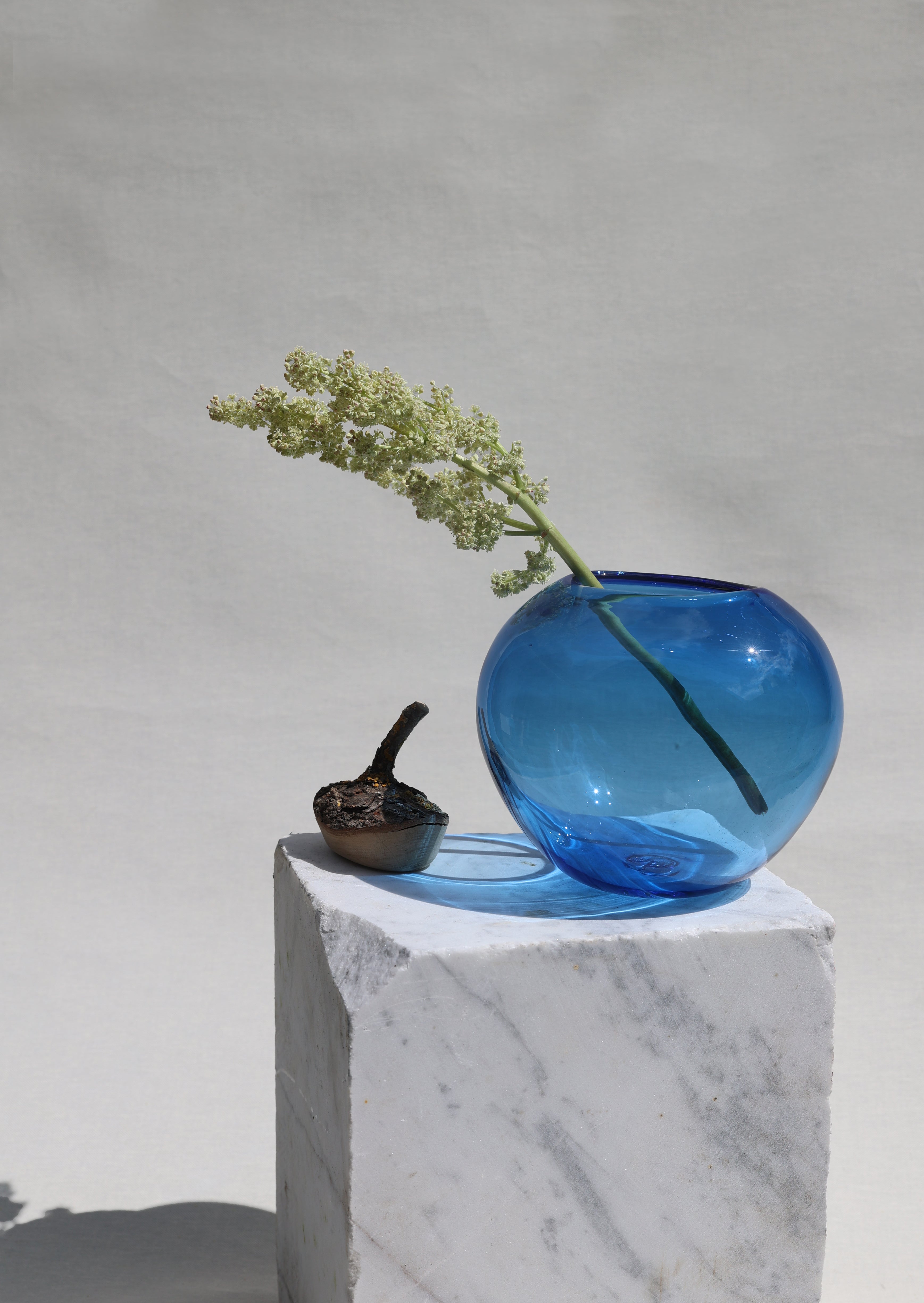 Branch Bowl | Sculptural Glass Bowl with Natural Wood Branch Lid