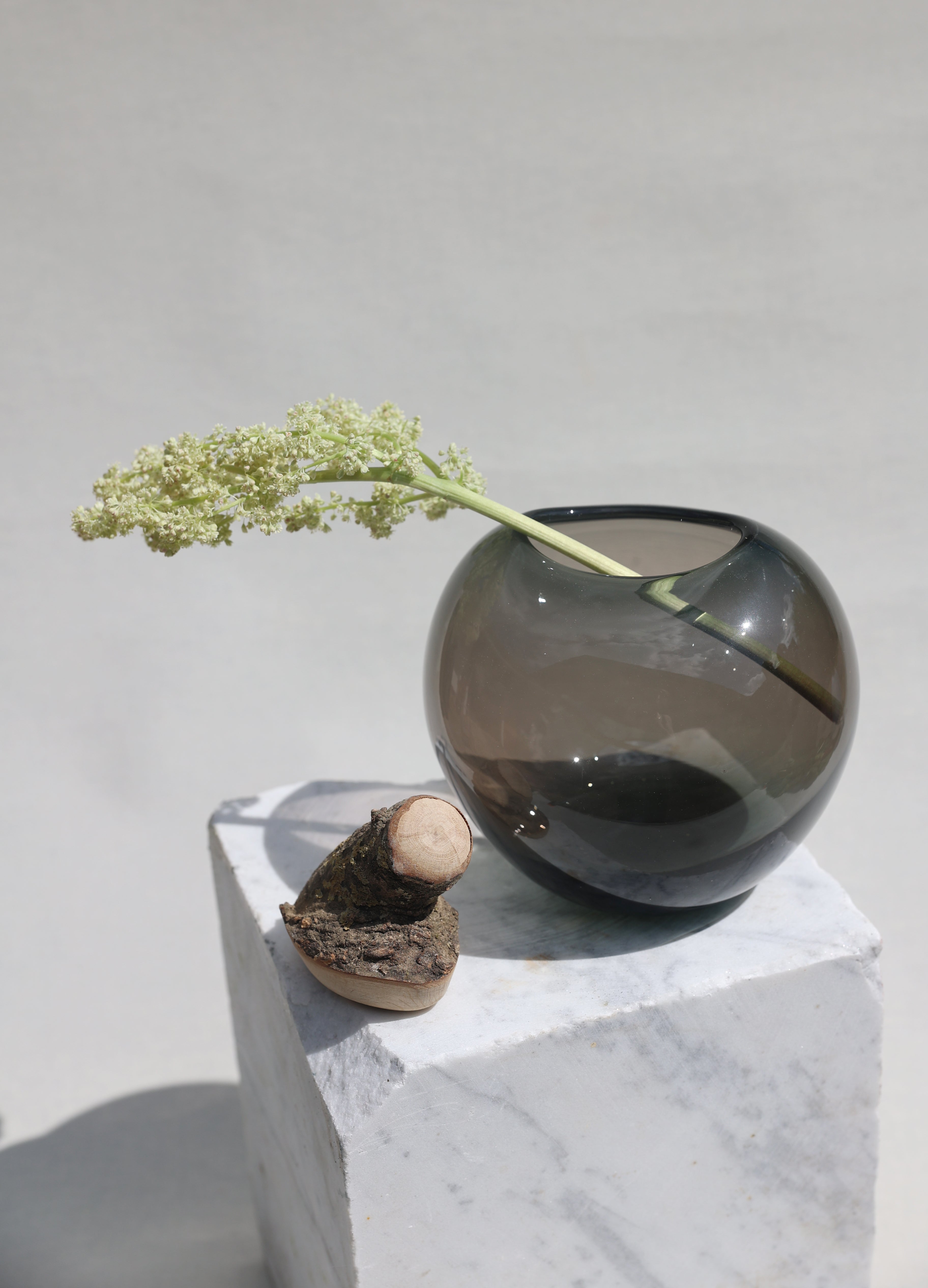 BRANCH BOWL| Sculptural Glass Bowl with Natural Wood Branch Lid