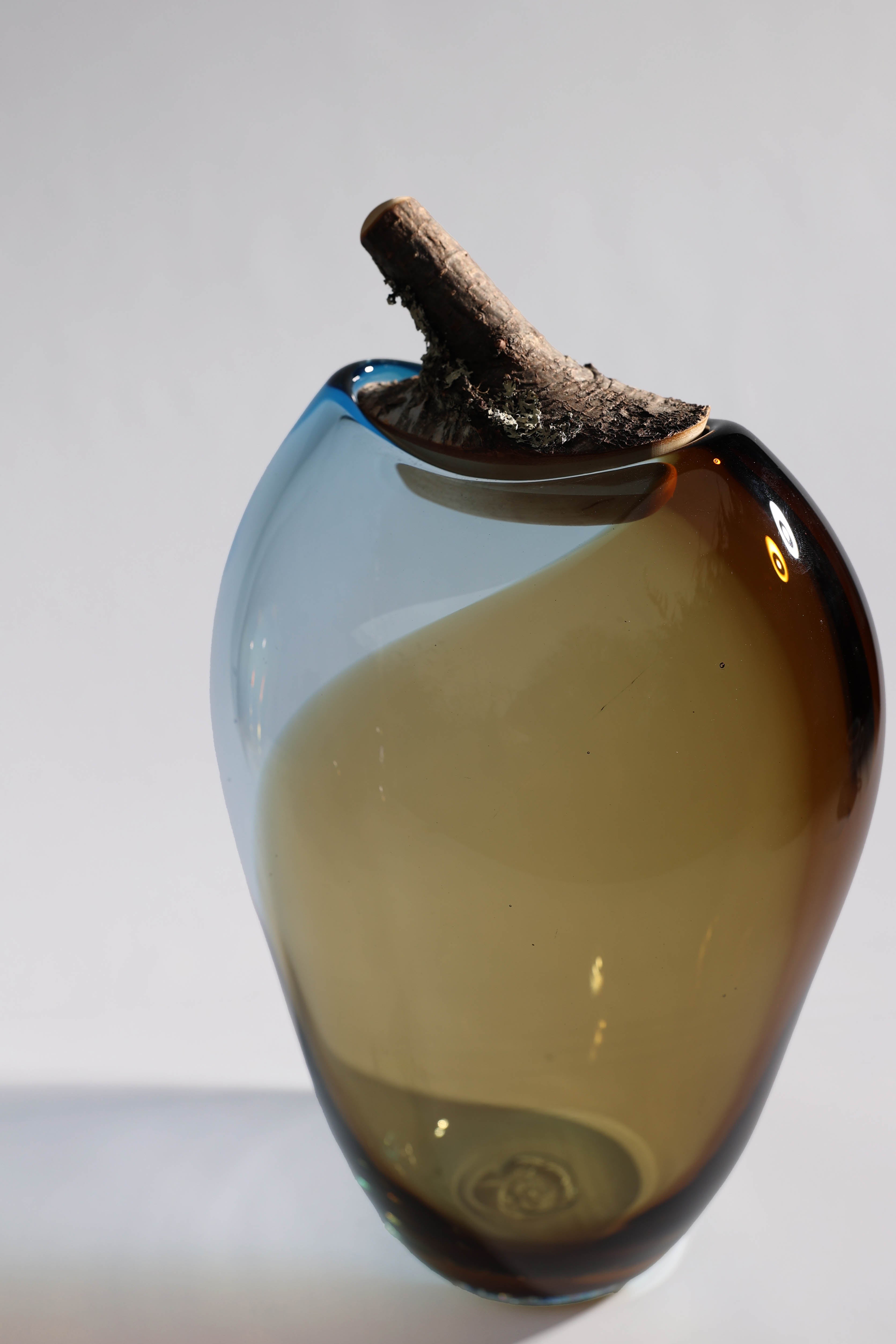 Branch Bowl | Sculptural Glass Bowl with Birch Wood Branch Lid