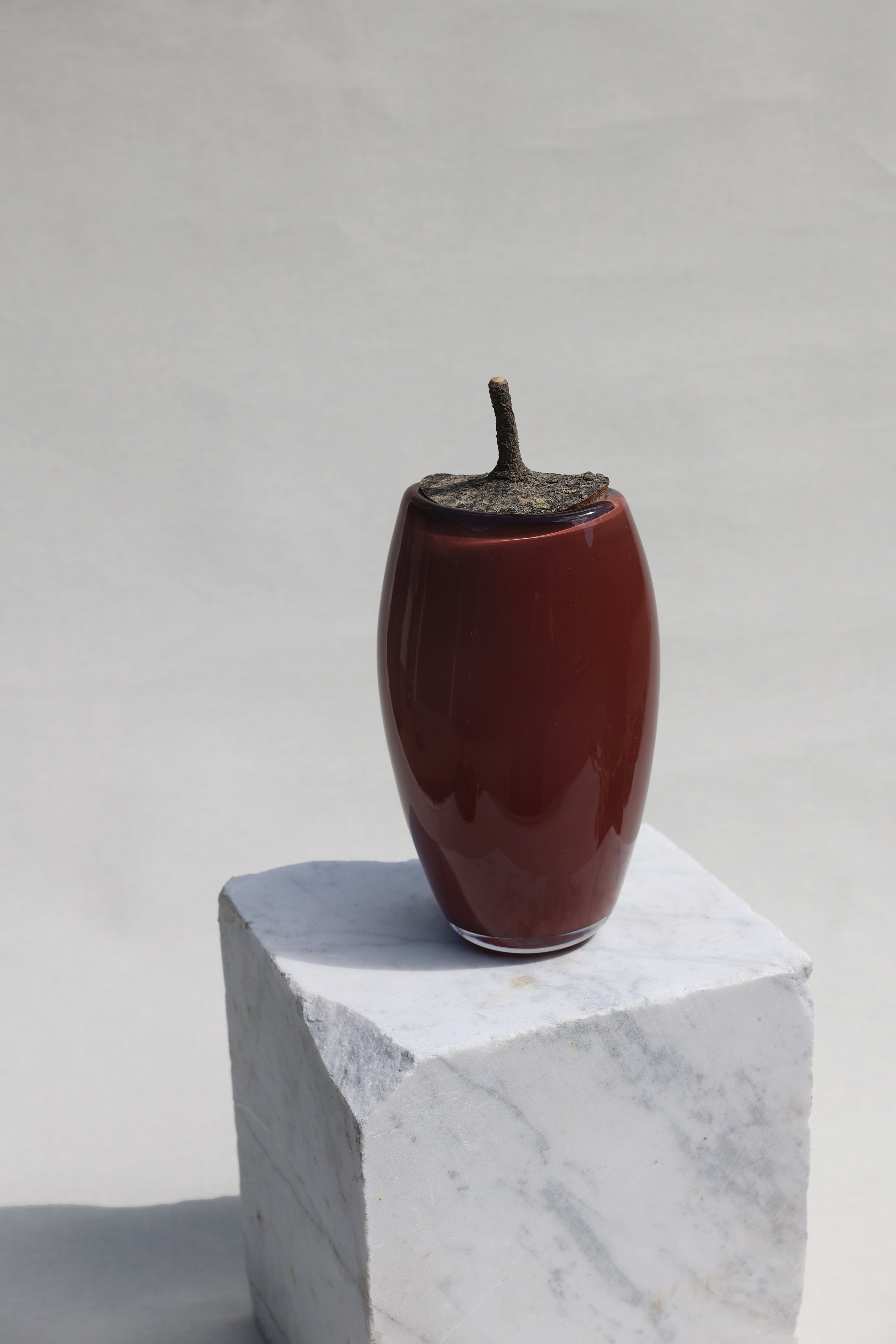 Branch Bowl | Sculptural Glass Bowl with Natural Wood Branch Lid