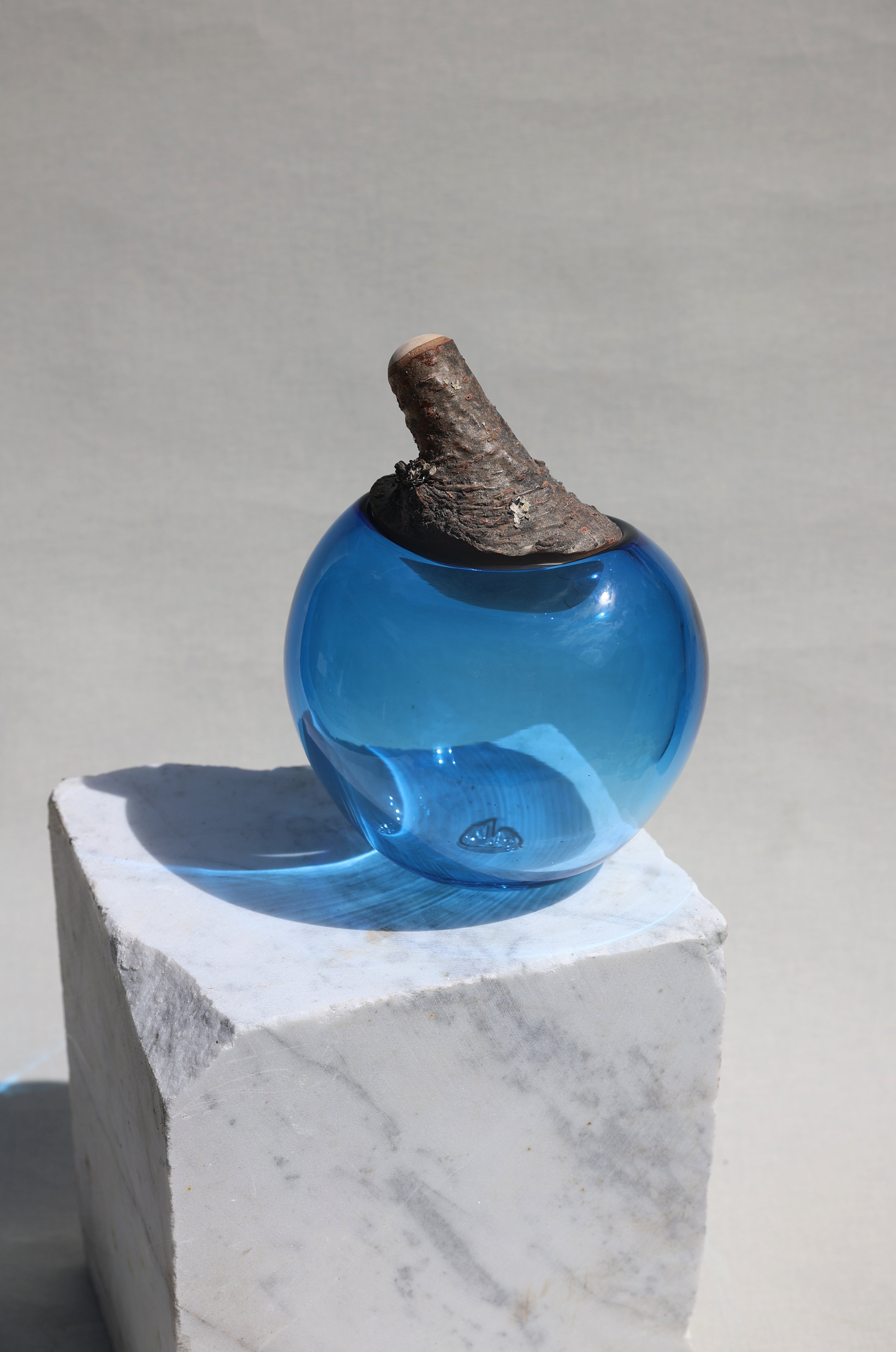 Branch Bowl | Sculptural Glass Bowl with Natural Wood Branch Lid