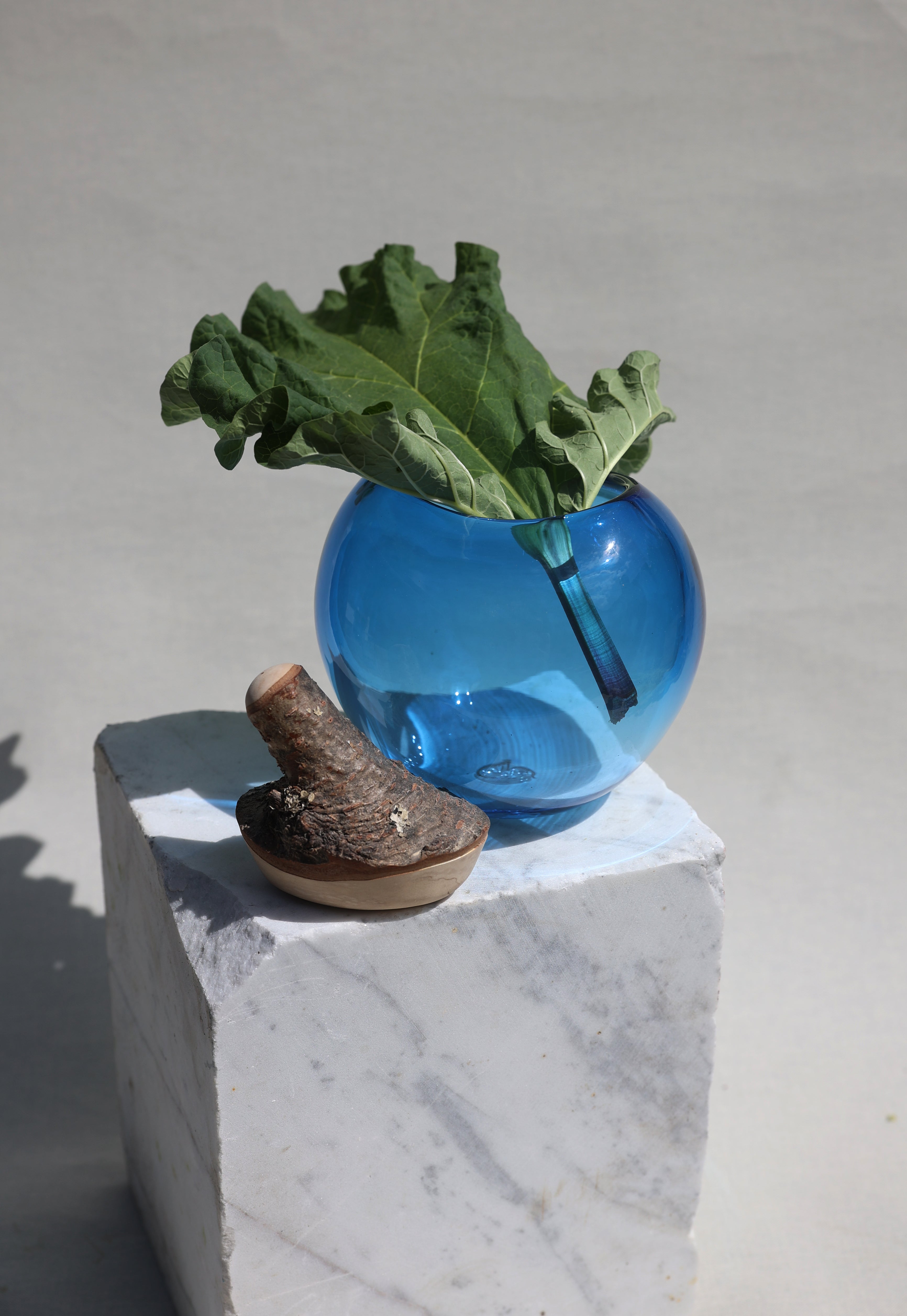 Branch Bowl | Sculptural Glass Bowl with Natural Wood Branch Lid