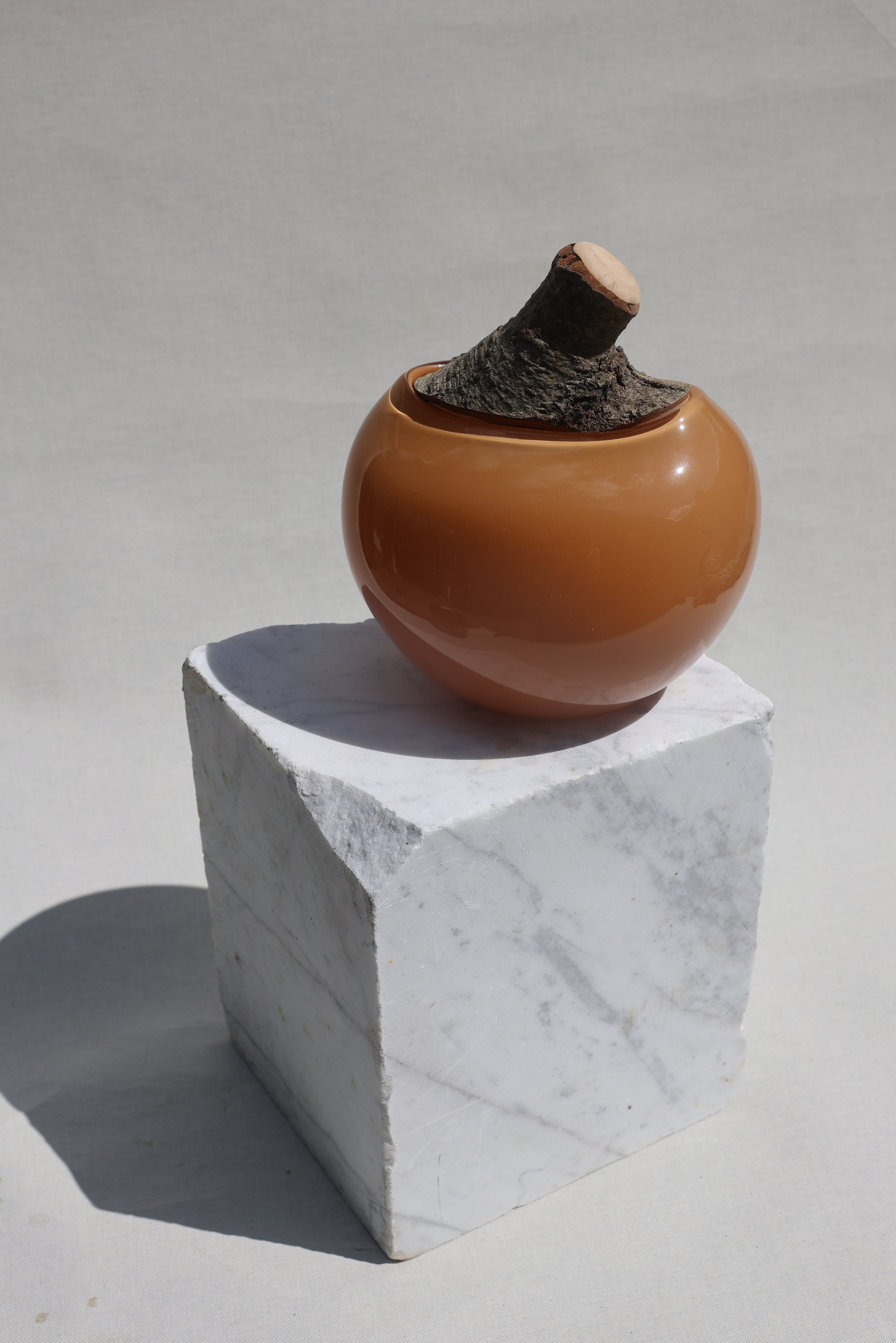 Branch Bowl | Sculptural Glass Bowl with Natural Wood Branch Lid