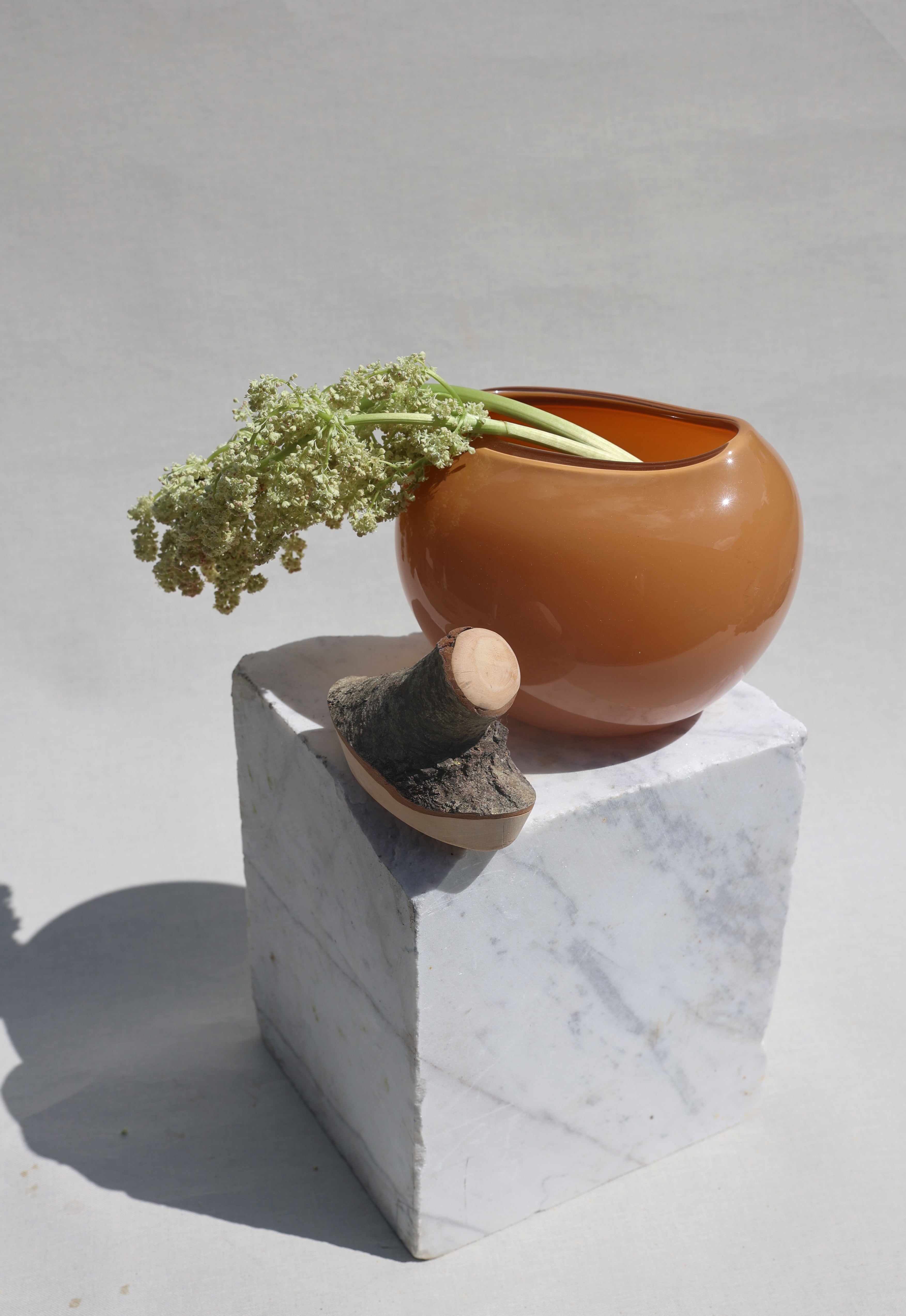Branch Bowl | Sculptural Glass Bowl with Natural Wood Branch Lid