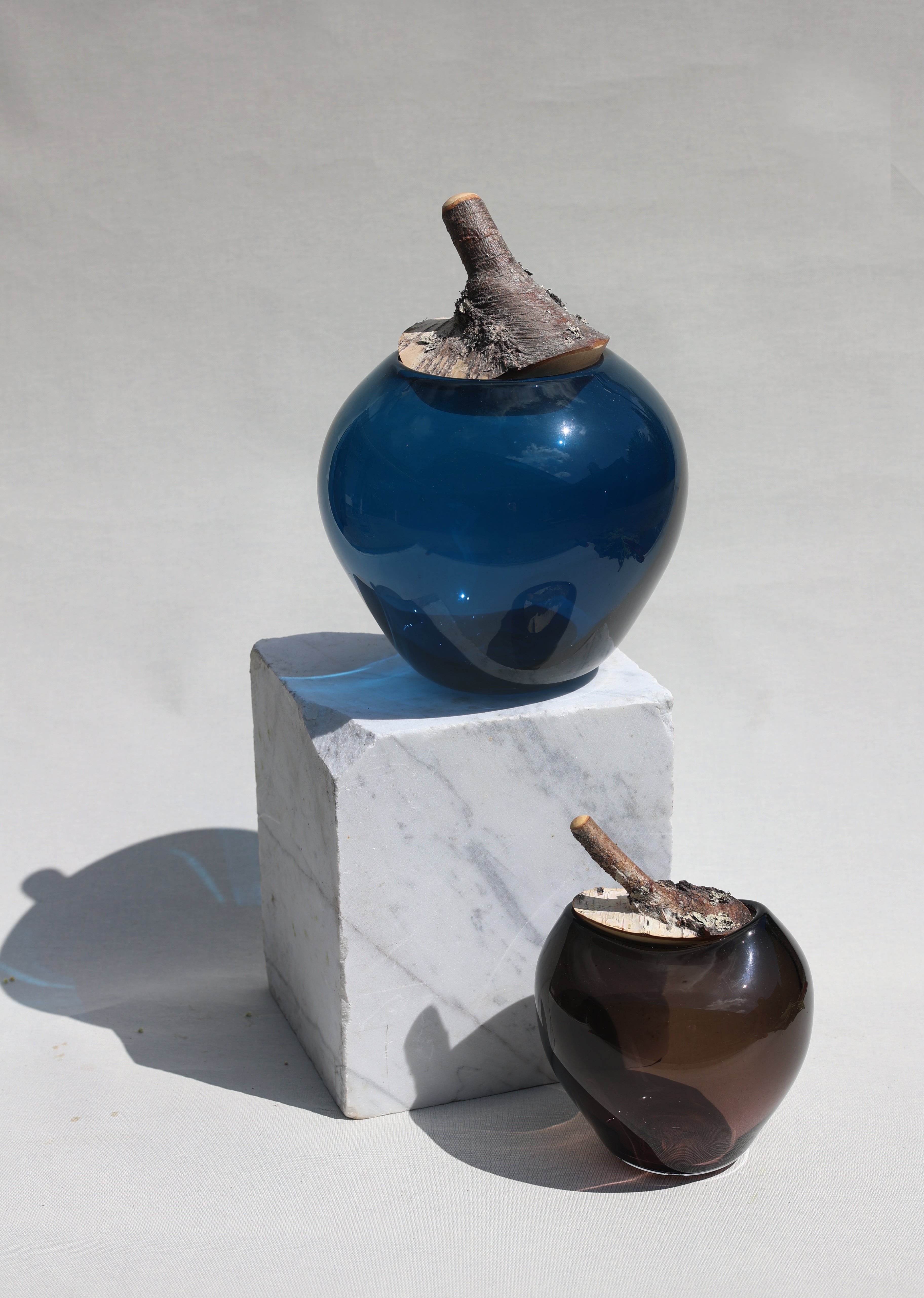 Branch Bowl | Sculptural Glass Bowl with Natural Wood Branch Lid