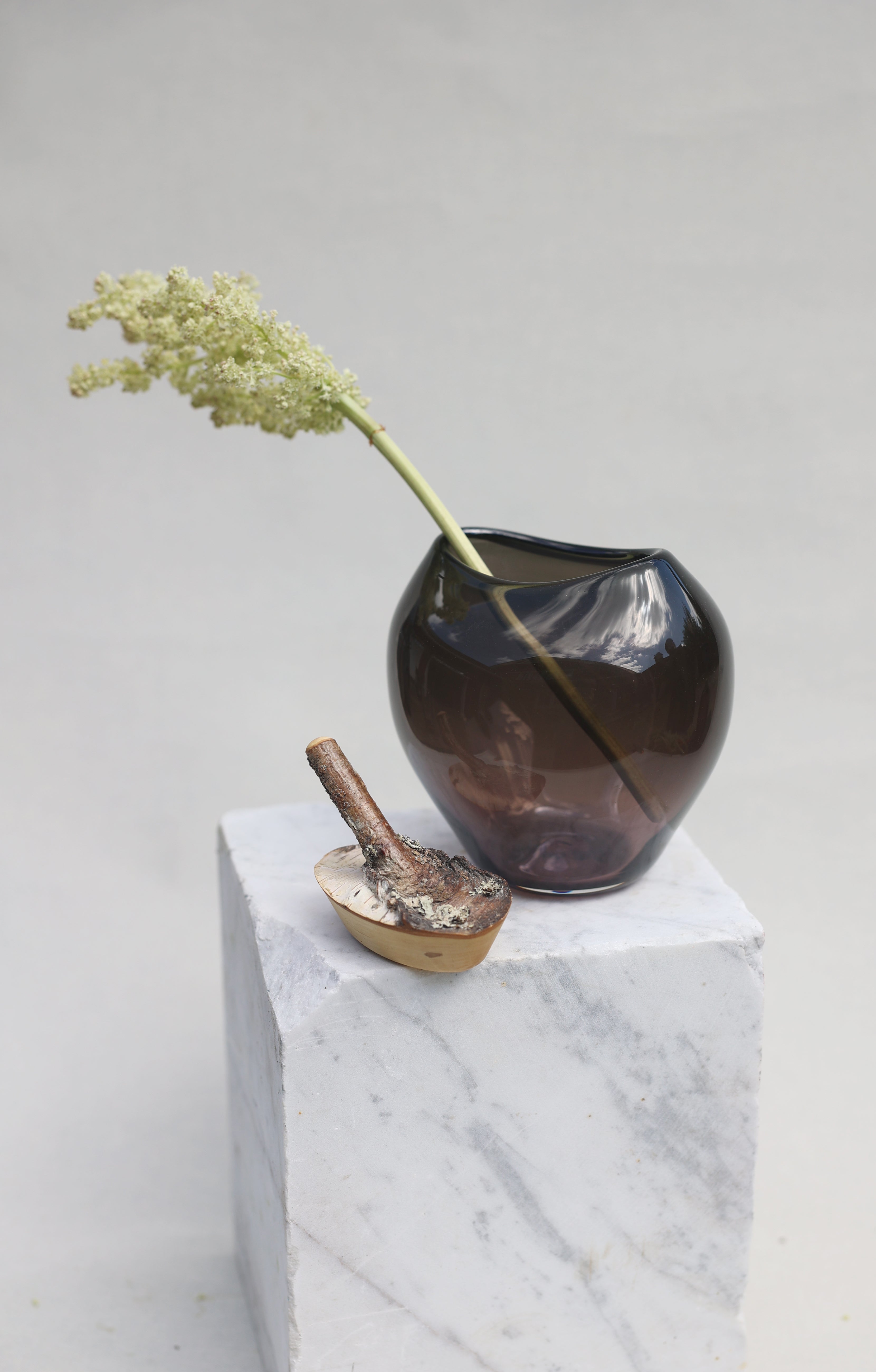 Branch Bowl | Sculptural Glass Bowl with Natural Wood Branch Lid