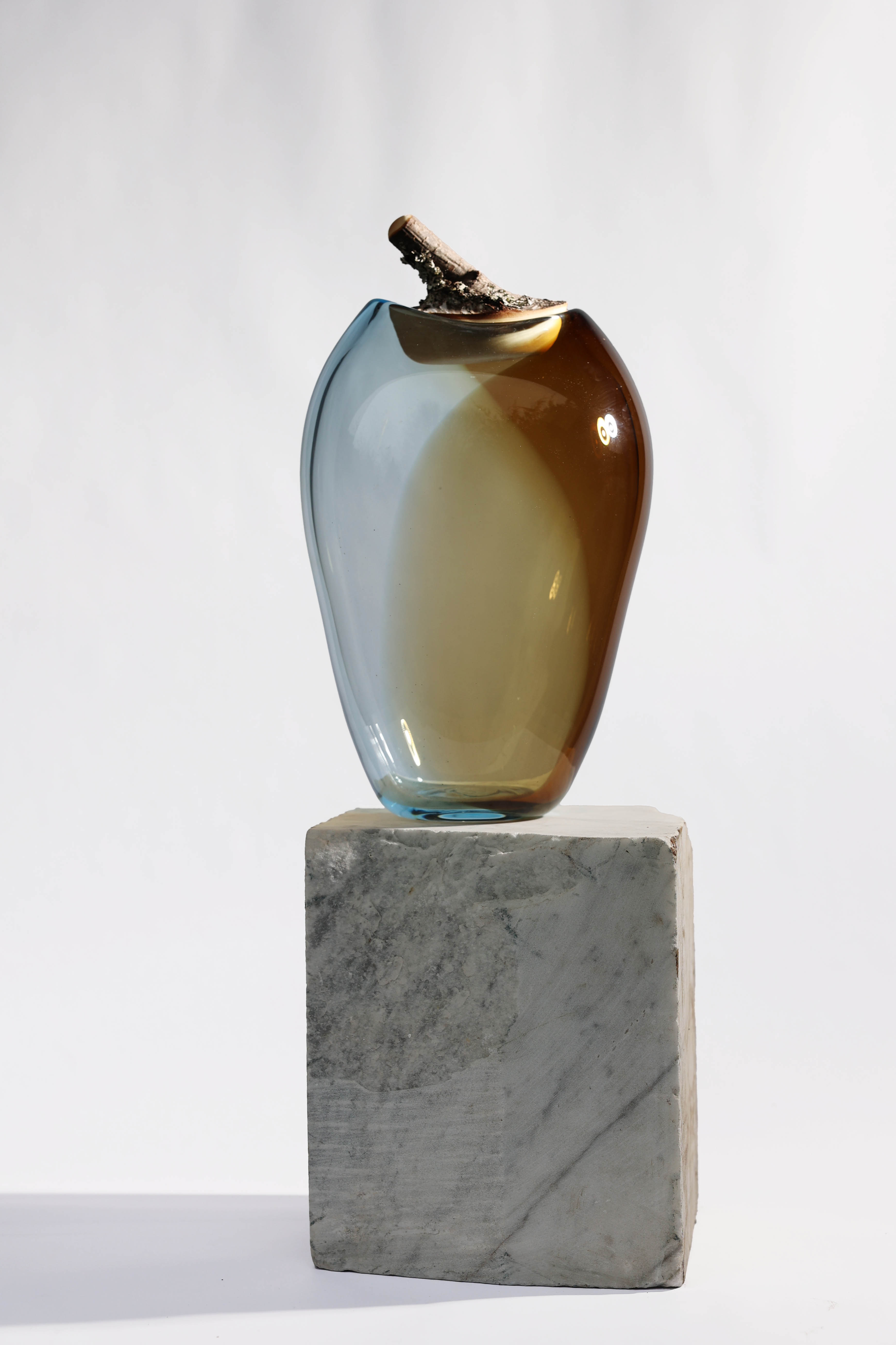 Branch Bowl | Sculptural Glass Bowl with Birch Wood Branch Lid