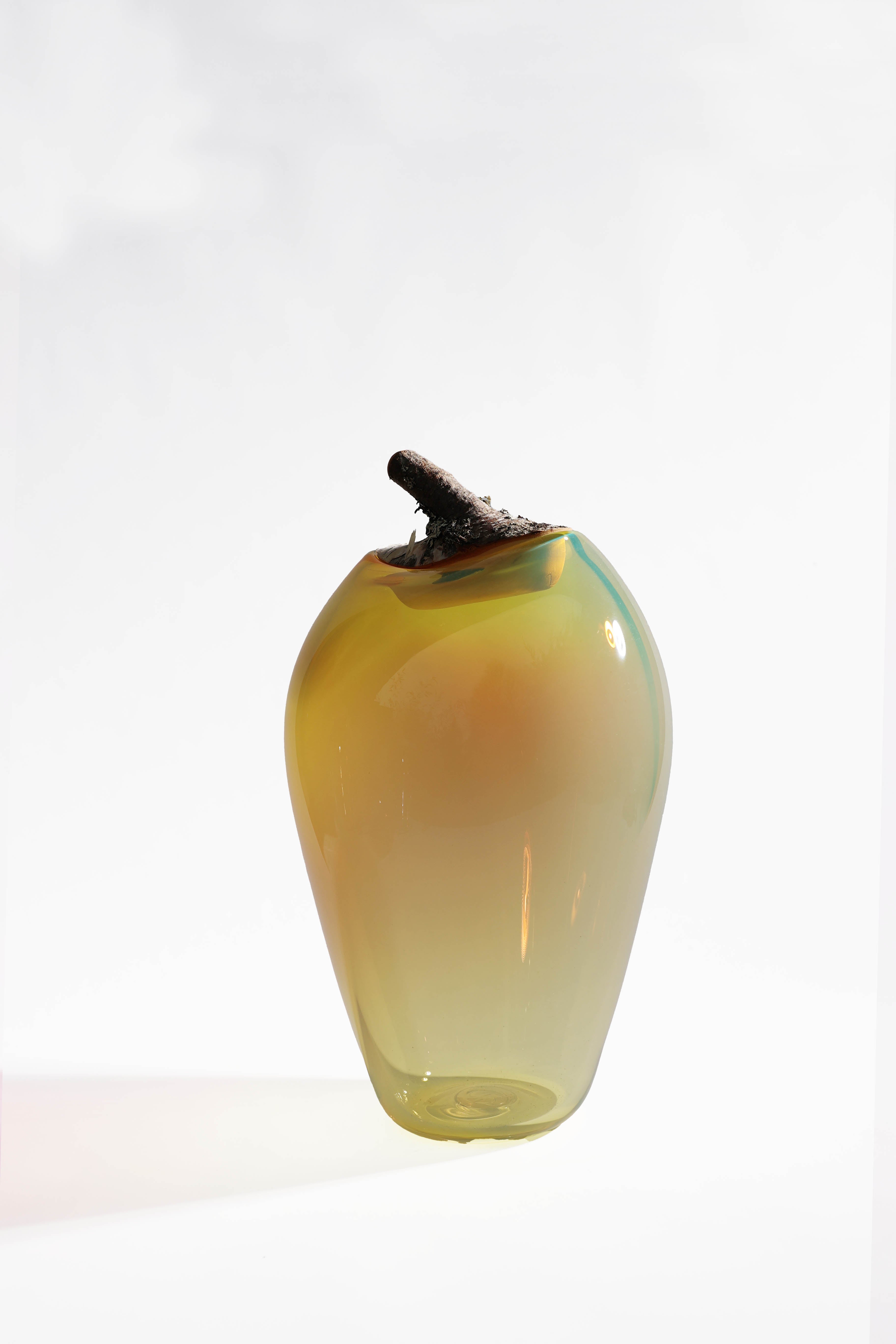 Branch Bowl | Sculptural Glass Bowl with Birch Wood Branch Lid