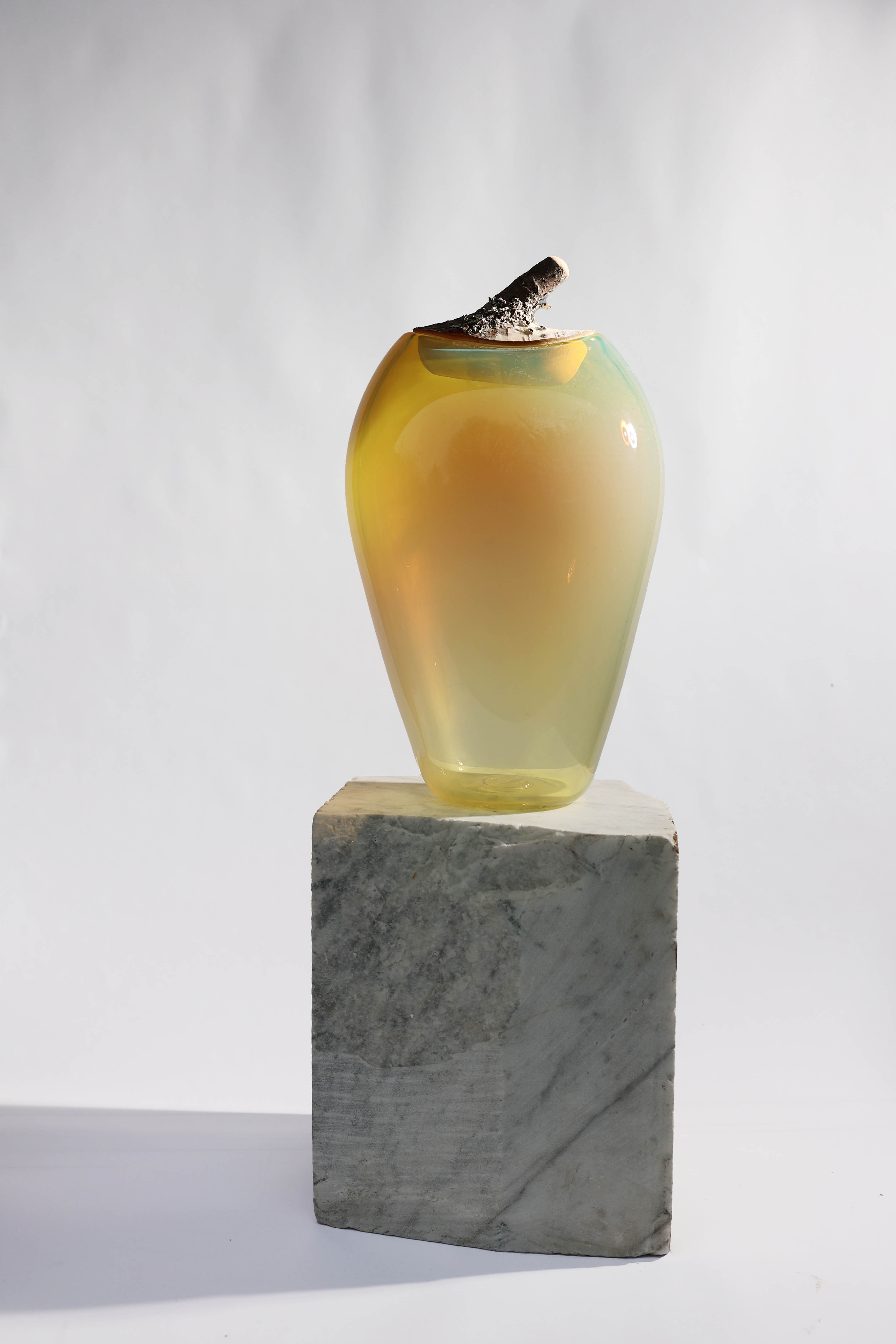 Branch Bowl | Sculptural Glass Bowl with Birch Wood Branch Lid