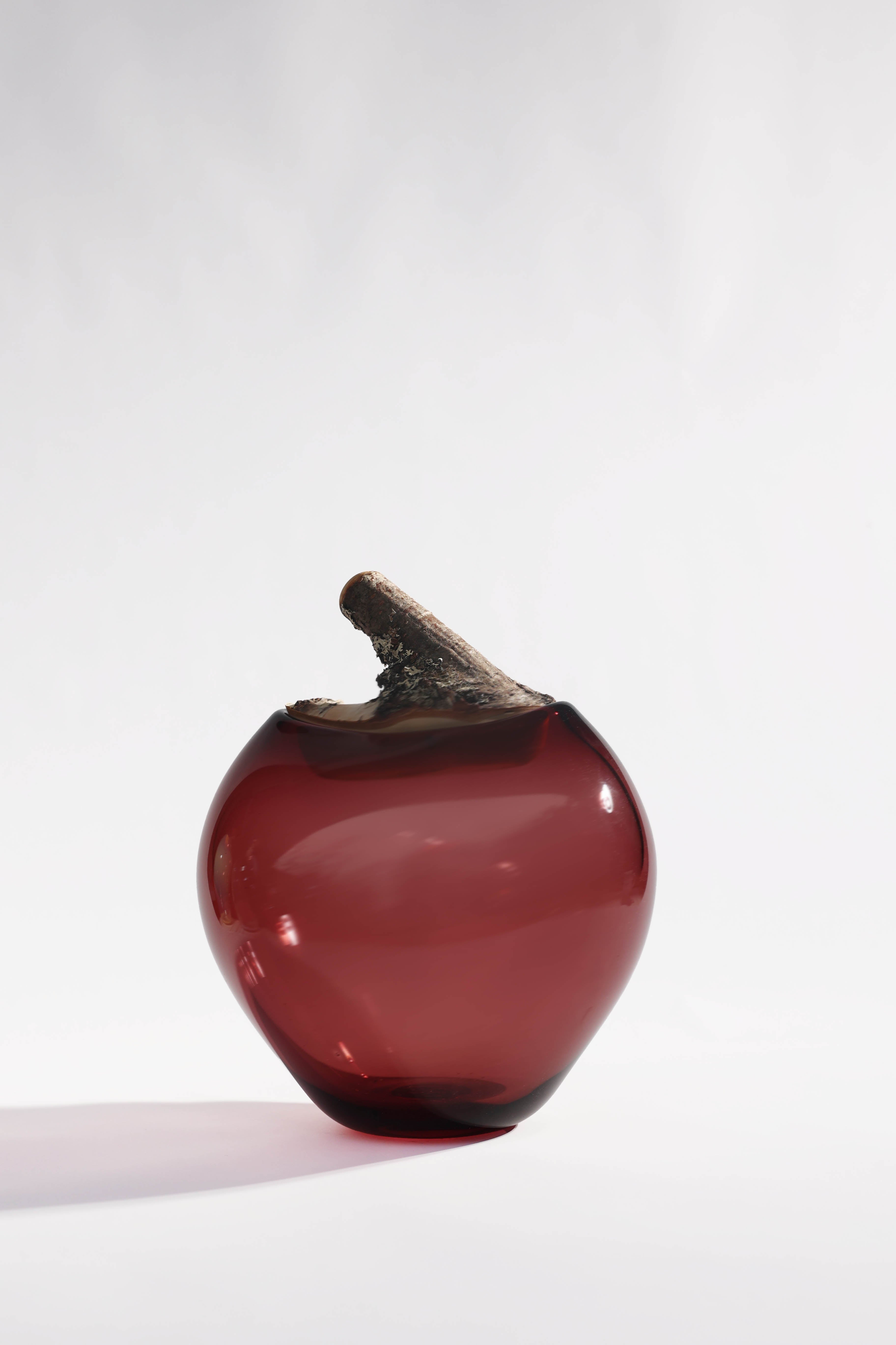 Branch Bowl | Sculptural Glass Bowl with Birch Wood Branch Lid