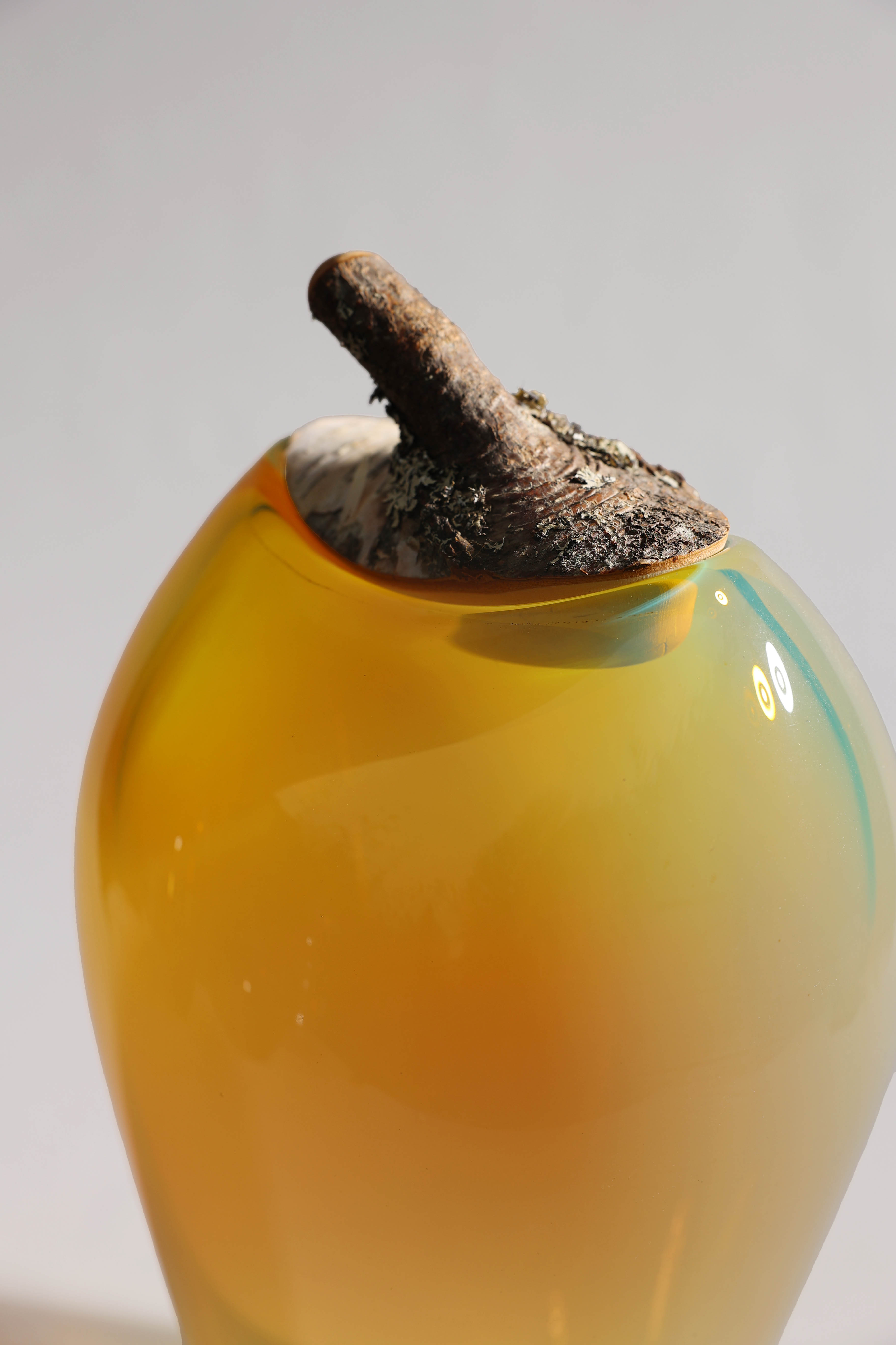 Branch Bowl | Sculptural Glass Bowl with Birch Wood Branch Lid