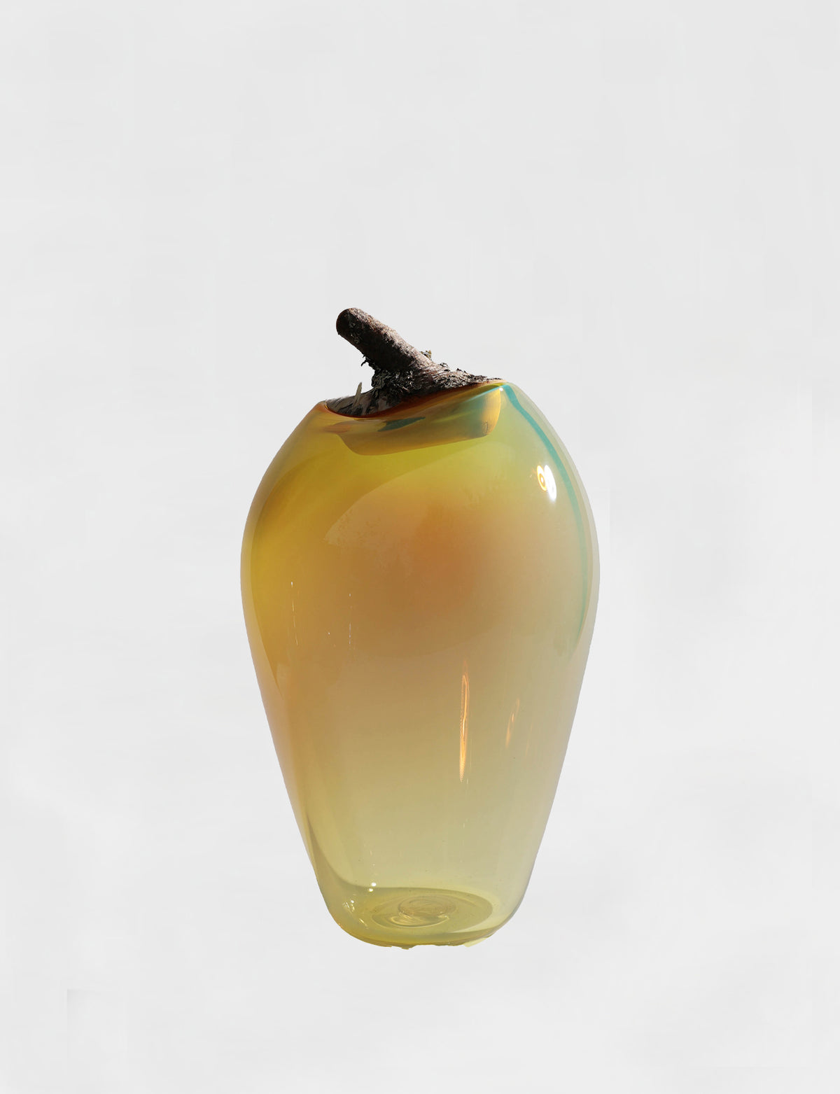 Branch Bowl | Sculptural Glass Bowl with Birch Wood Branch Lid