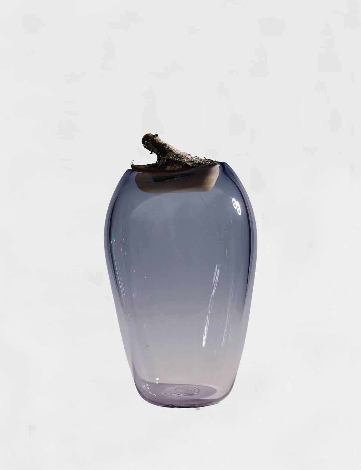 Branch Bowl | Sculptural Glass Bowl with Birch Wood Branch Lid