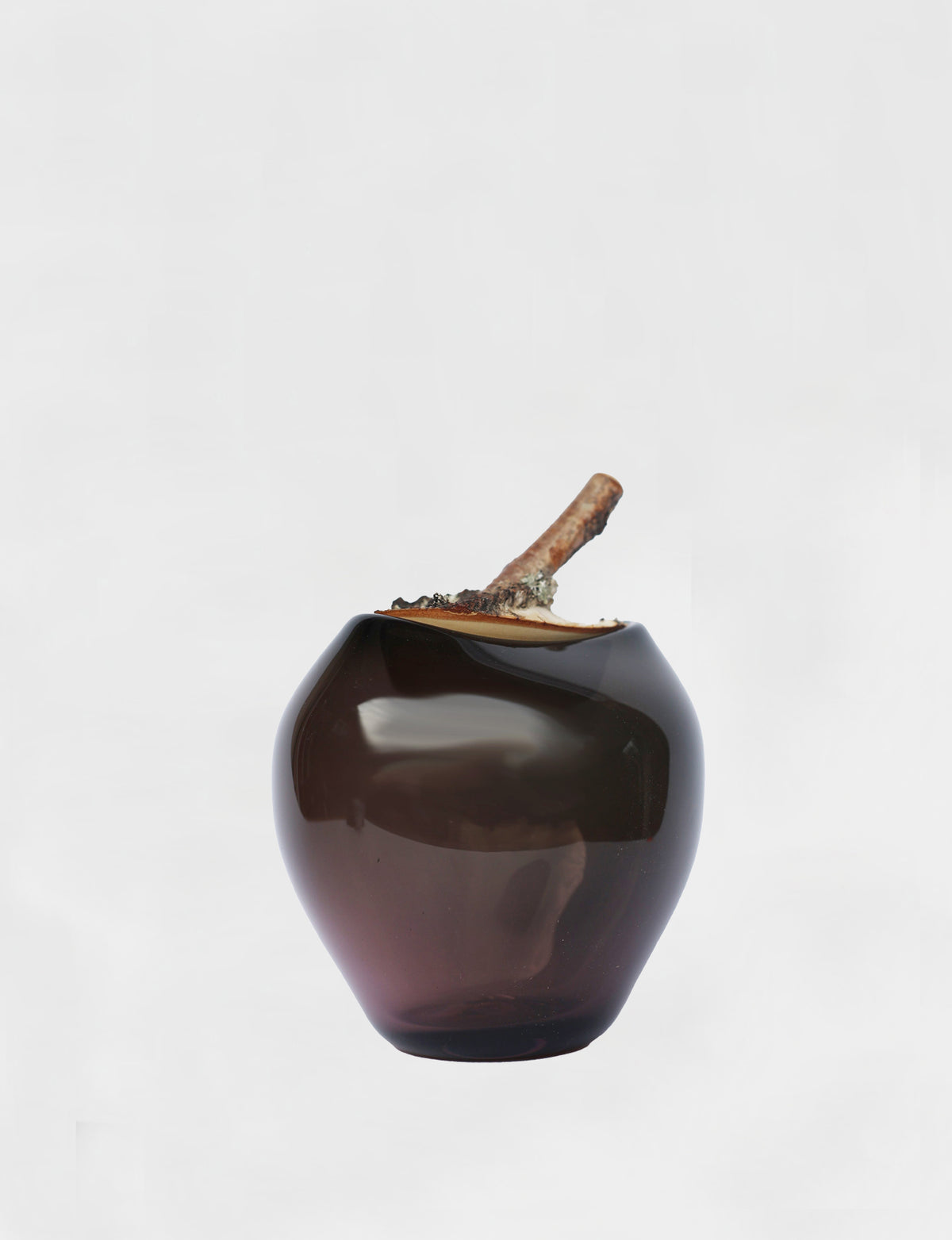 Branch Bowl | Sculptural Glass Bowl with Natural Wood Branch Lid