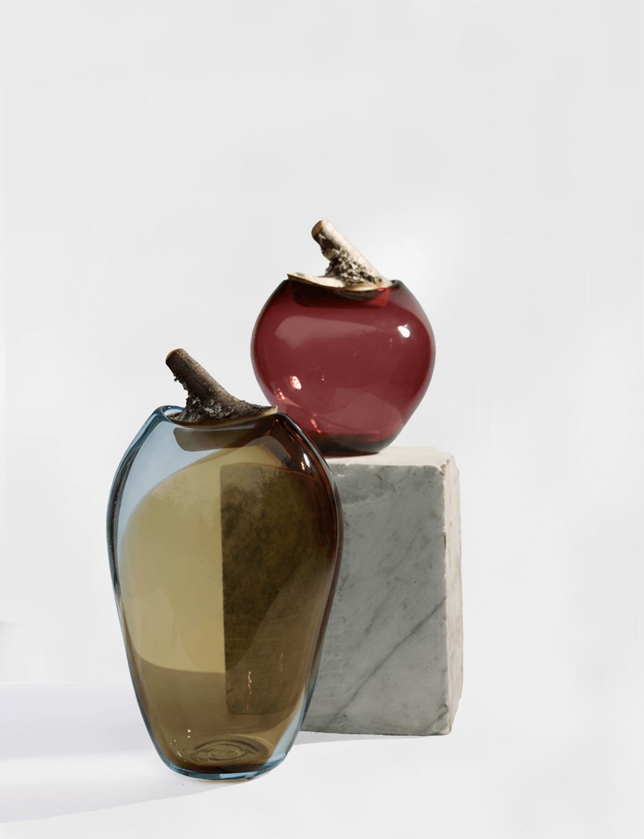 Branch Bowl | Sculptural Glass Bowl with Birch Wood Branch Lid