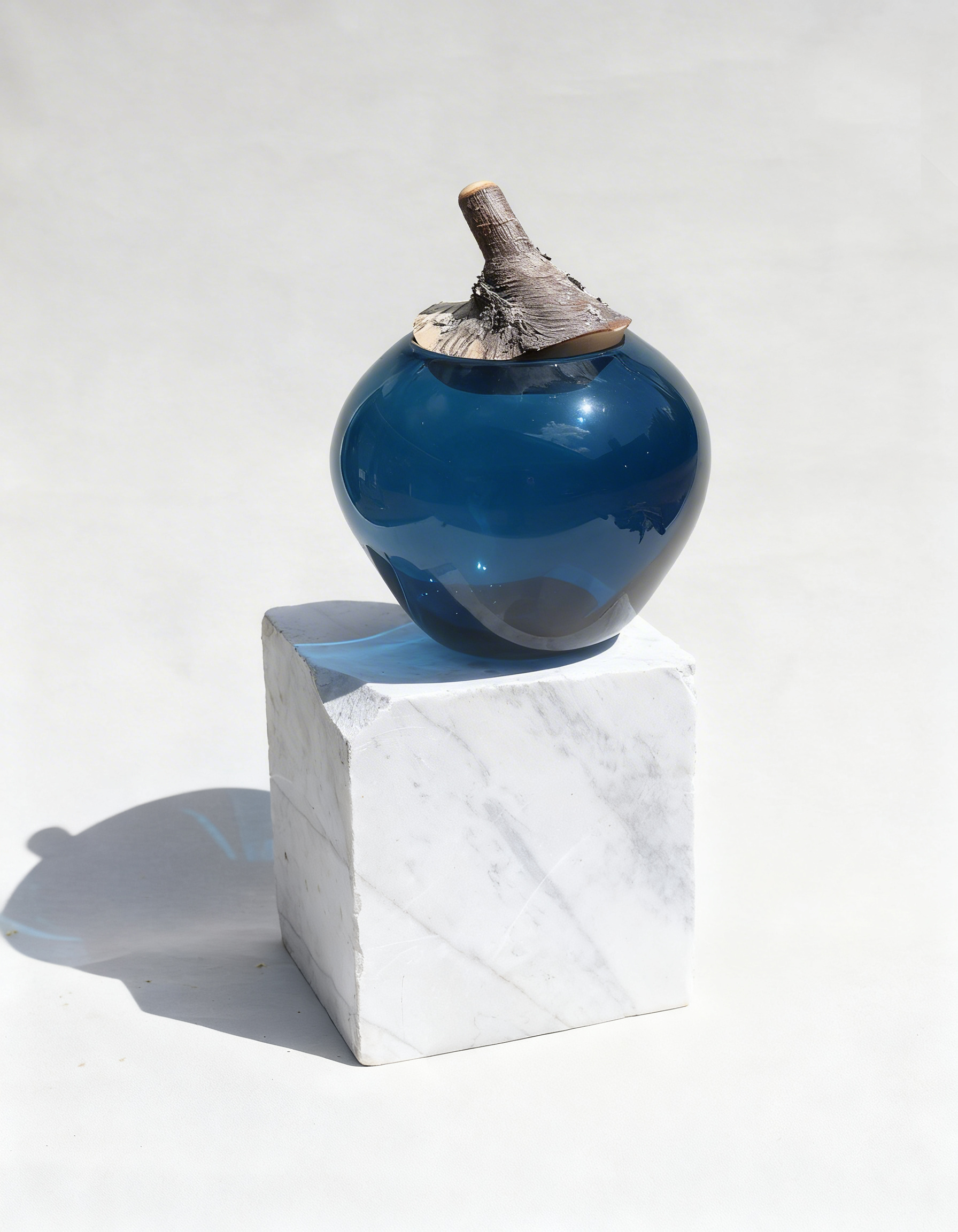 Branch Bowl | Sculptural Glass Bowl with Natural Wood Branch Lid