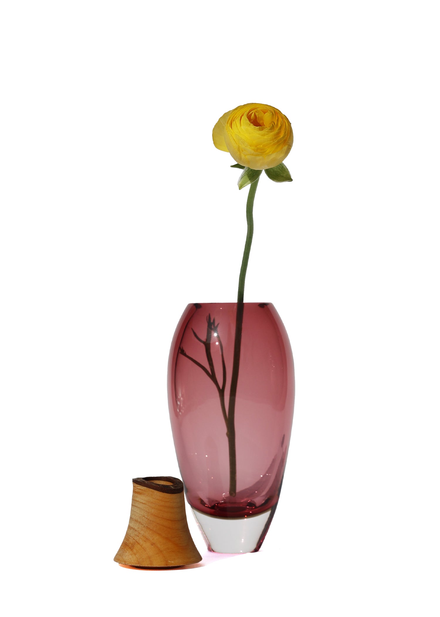 Matisse I Stacking Vessel vase in rose color, unstacked with a flower, displayed on a white background.
