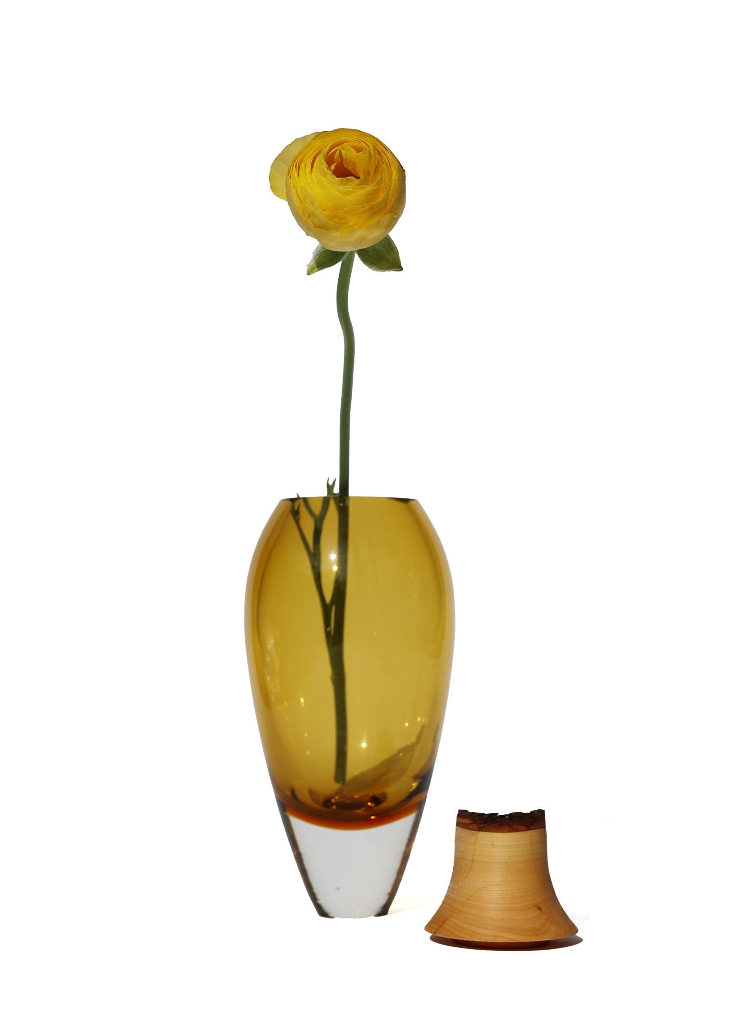 Matisse I amber glass vase unstacked with a flower on a white background.