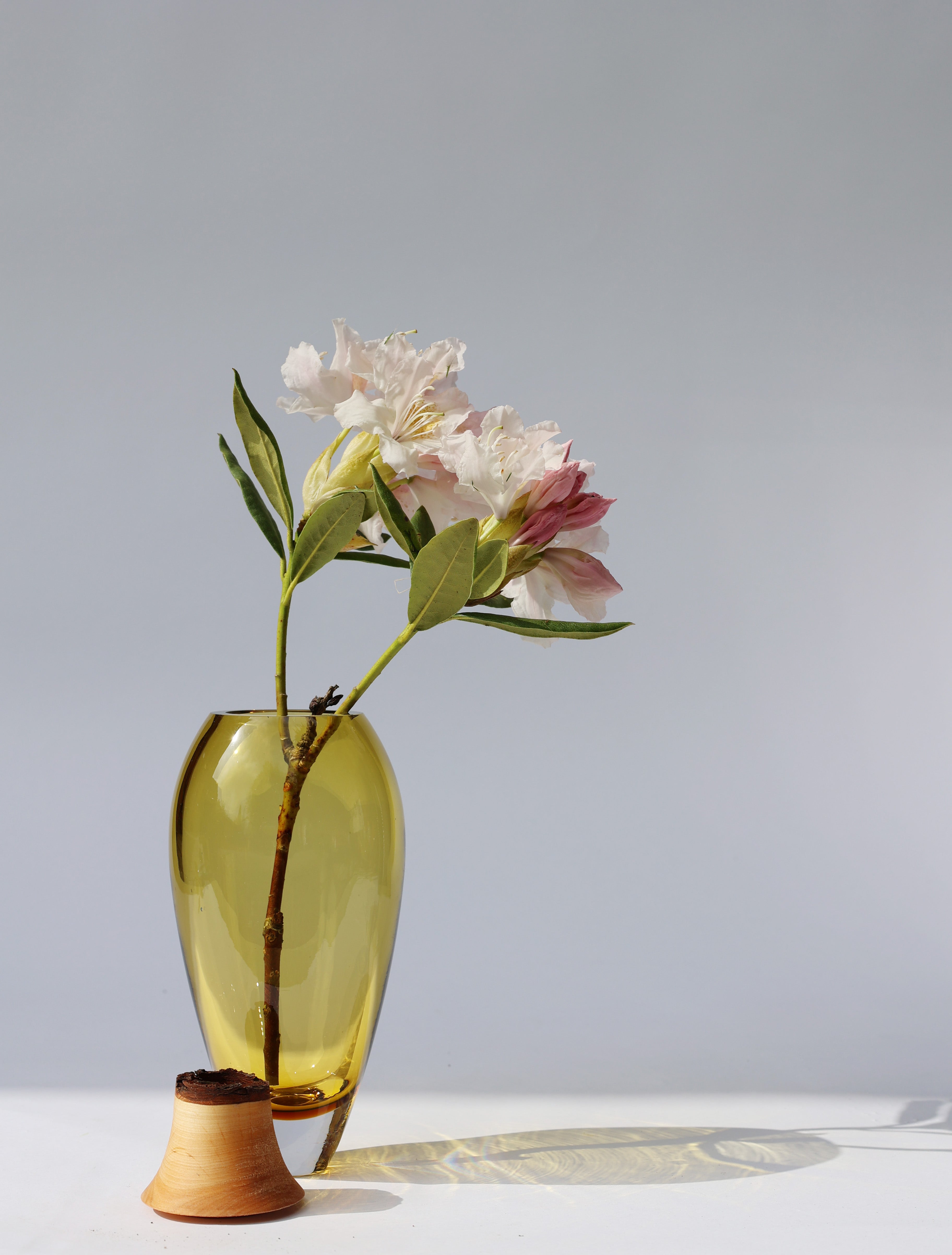 Matisse olive glass vase with flower displayed on a white background.